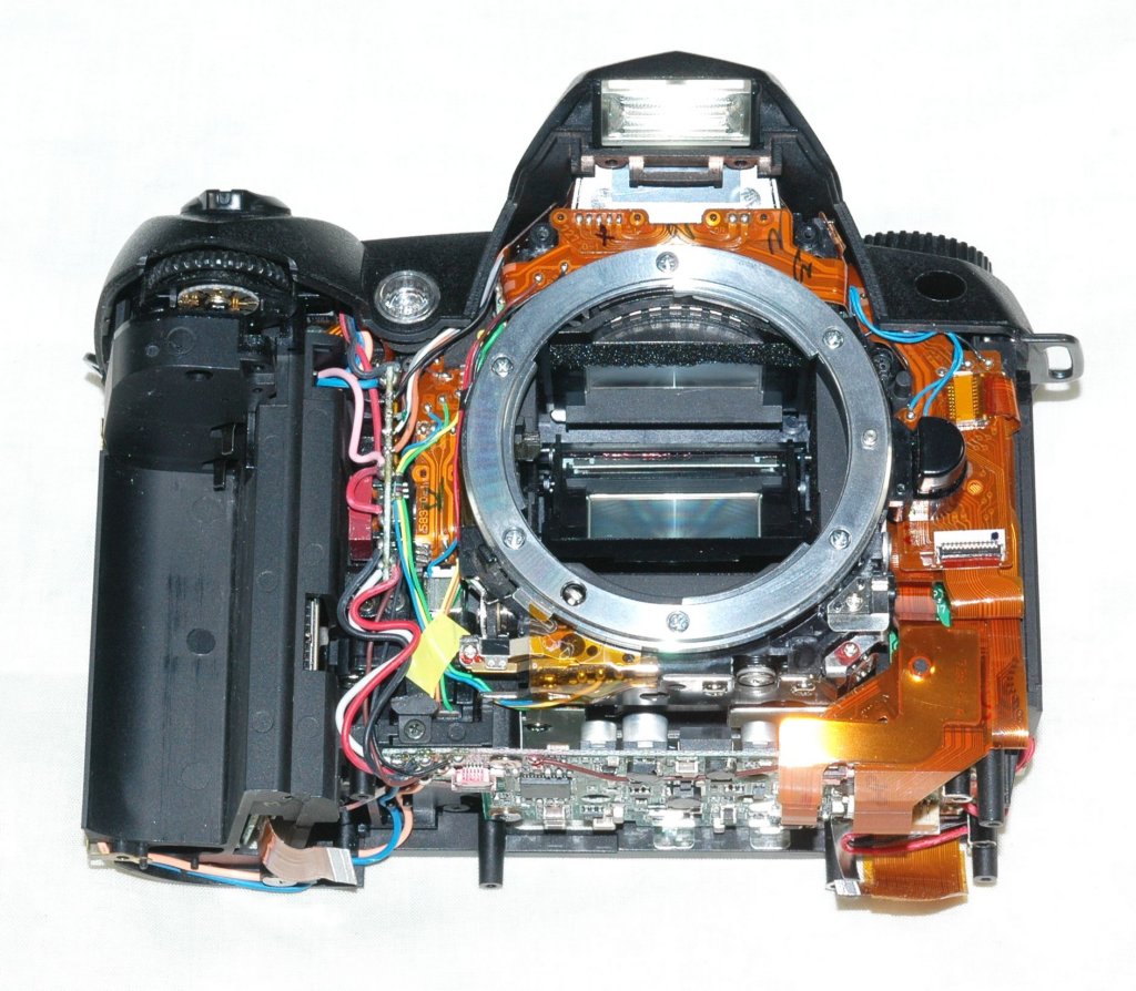 d70front_down.jpg